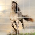 Stickers carrelage cheval