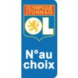 Stickers Plaque Lyon