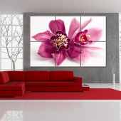 Triptyque Forex Orchidée